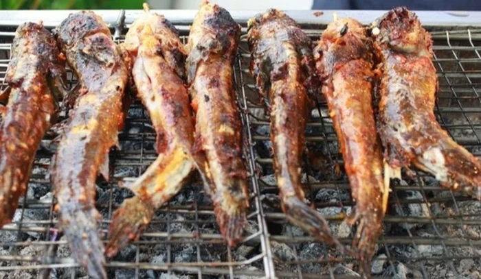 Loại cá biết leo cây, biết chạy nhảy trên cạn, là đặc sản trứ danh miền Tây  - Ảnh 6.