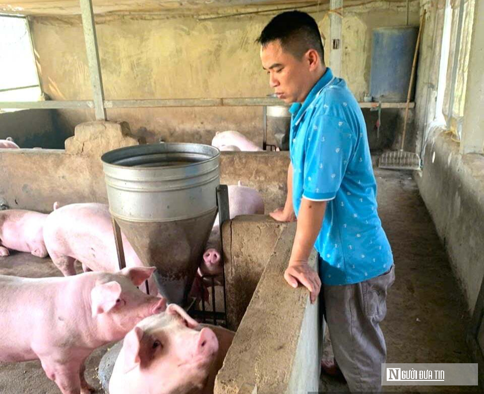 Kỹ sư bỏ việc lương cao ở nước ngo&agrave;i, về trồng c&acirc;y ăn quả nhiều VitaminC, ph&aacute;t triển chăn nu&ocirc;i cho doanh thu tiền tỷ- Ảnh 13.