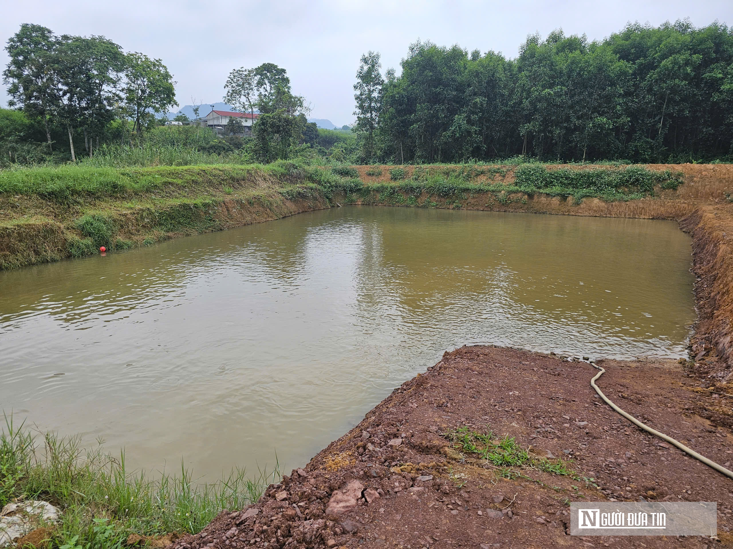 Kỹ sư bỏ việc lương cao ở nước ngo&agrave;i, về trồng c&acirc;y ăn quả nhiều VitaminC, ph&aacute;t triển chăn nu&ocirc;i cho doanh thu tiền tỷ- Ảnh 14.