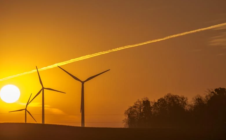 Đằng sau sự cố với cánh turbine khiến trang trại điện gió 48 MW phải ngừng hoạt động - Ảnh 1.