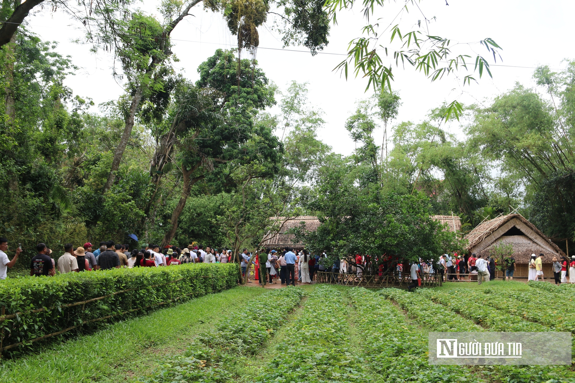 Đồng b&agrave;o mu&ocirc;n phương đội mưa về thăm qu&ecirc; B&aacute;c dịp kỷ niệm 51 năm ng&agrave;y thống nhất đất nước- Ảnh 14.