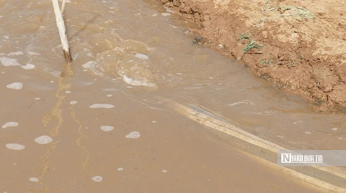 Theo chân diêm dân “nuôi” muối giữa nắng, gió và mồ hôi- Ảnh 3.