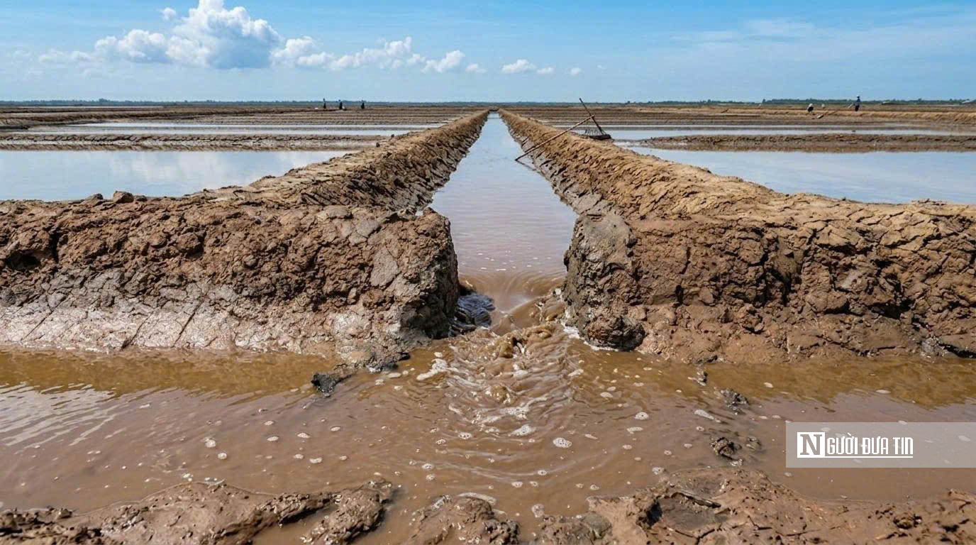 Theo chân diêm dân “nuôi” muối giữa nắng, gió và mồ hôi- Ảnh 4.