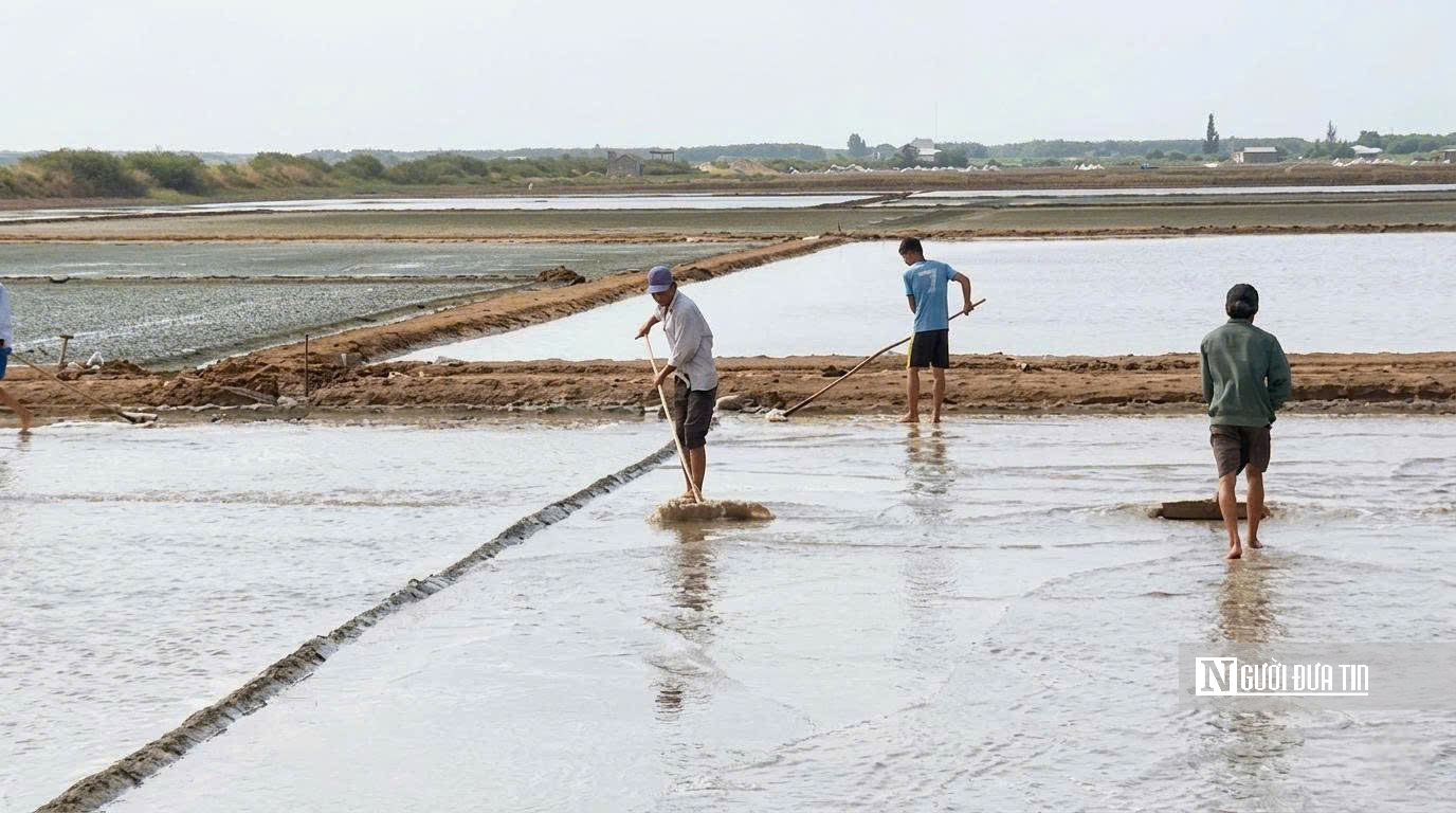 Theo chân diêm dân “nuôi” muối giữa nắng, gió và mồ hôi- Ảnh 6.