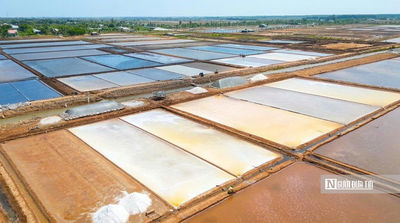 Theo chân diêm dân “nuôi” muối giữa nắng, gió và mồ hôi- Ảnh 11.