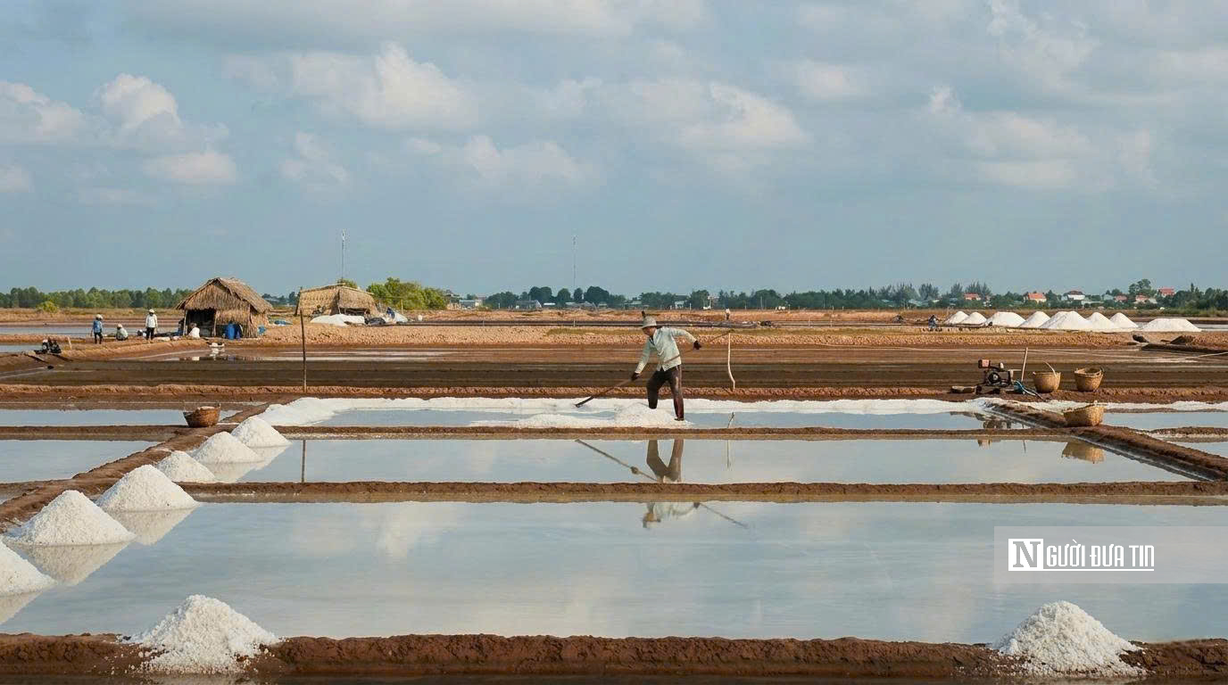 Theo chân diêm dân “nuôi” muối giữa nắng, gió và mồ hôi- Ảnh 13.