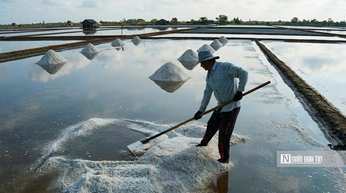 Theo chân diêm dân “nuôi” muối giữa nắng, gió và mồ hôi- Ảnh 15.