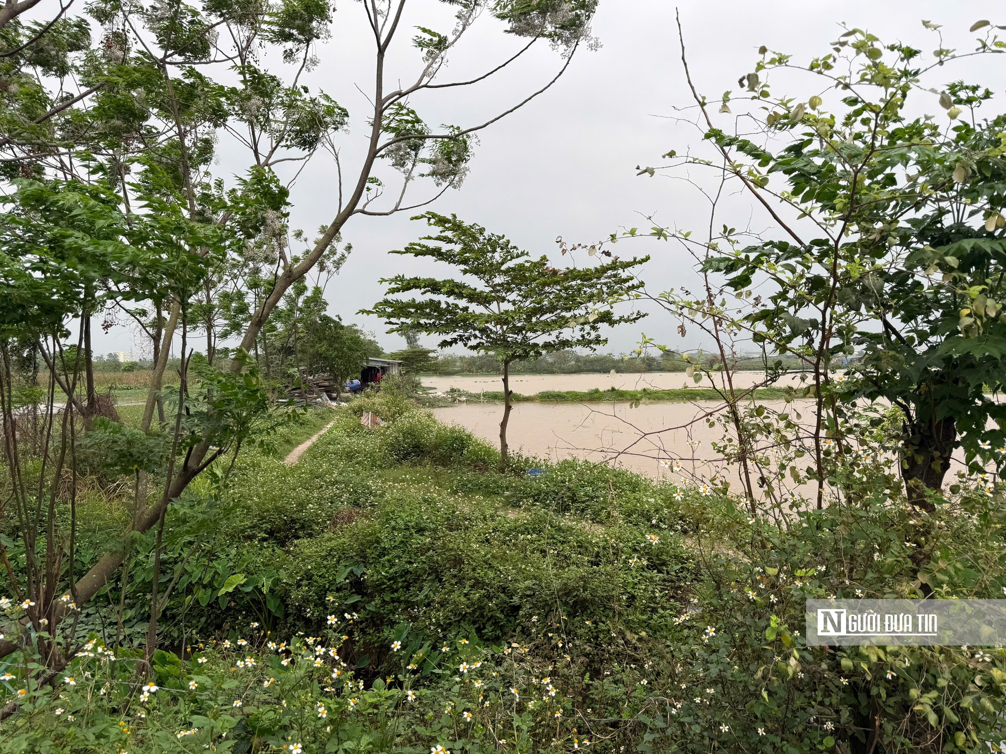 Việt Nam trước &ldquo;bẫy&rdquo; d&acirc;n số gi&agrave; - B&agrave;i 1: Người mẹ sinh 14 con ở H&agrave; Nội: &ldquo;Qu&aacute; thất vọng về c&aacute;c con&rdquo; - Ảnh 1.