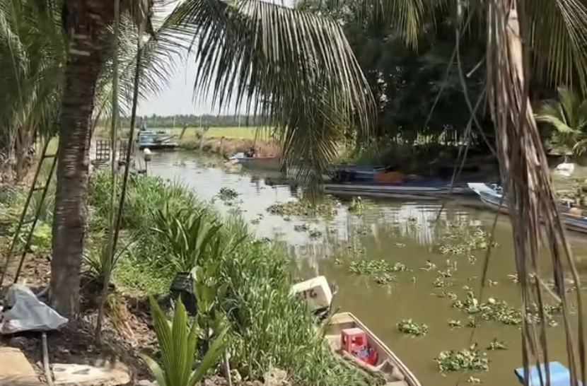 T&acirc;y Ninh ph&aacute;t hiện c&aacute; sấu d&agrave;i 1,5m, nặng gần 25kg dưới k&ecirc;nh- Ảnh 1.