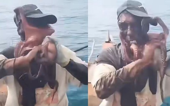 Ngư dân bị bạch tuộc khổng lồ tấn công, mặt đầy mực và vết hút sau cuộc vật lộn