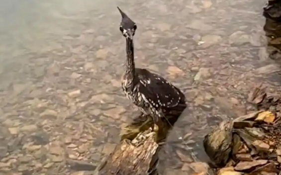 Cụ b&agrave; m&ecirc; mua h&agrave;ng tr&ecirc;n mạng, 30 người dọn 12 giờ mới thấy mặt s&agrave;n - Ảnh 2.