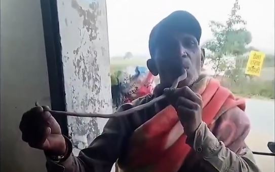 Người đàn ông Ấn Độ tử vong sau khi cố đưa đầu rắn hổ mang vào miệng