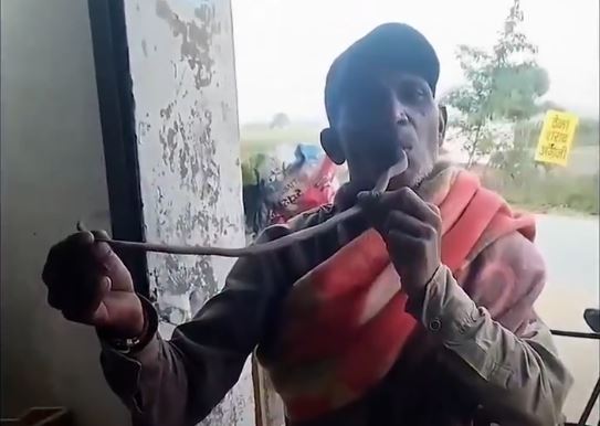 Người đ&agrave;n &ocirc;ng ngậm đầu rắn hổ mang trong miệng, tử vong khi bị cắn - Ảnh 1.