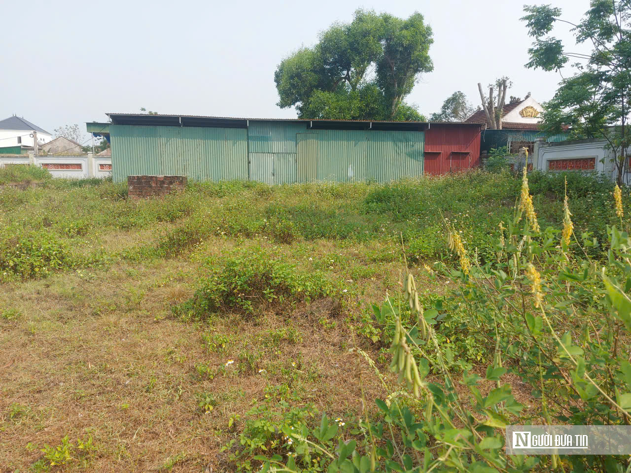 Mục sở thị dự án đền thờ tổ nghề ca trù hơn 10 tỷ đồng… thành nơi chăn vịt- Ảnh 5.