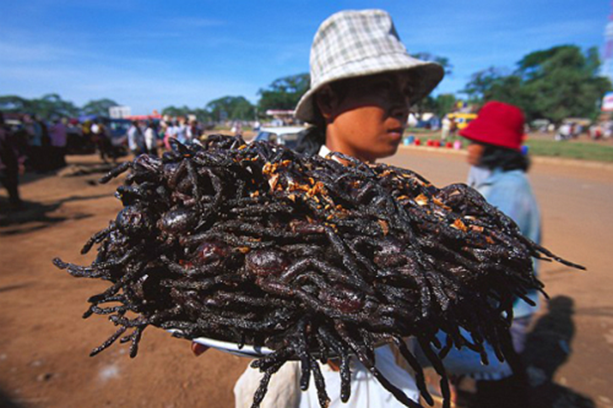 Món ăn kinh dị nhất thế giới: