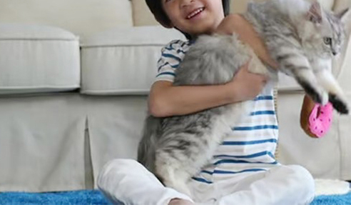 Ngủ với ch&oacute; m&eacute;o: Cậu b&eacute; 14 tuổi gần như mất thị lực vĩnh viễn - Ảnh 1.