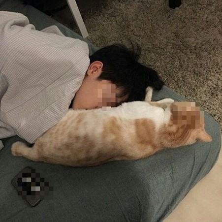 Ngủ với ch&oacute; m&eacute;o: Cậu b&eacute; 14 tuổi gần như mất thị lực vĩnh viễn - Ảnh 4.