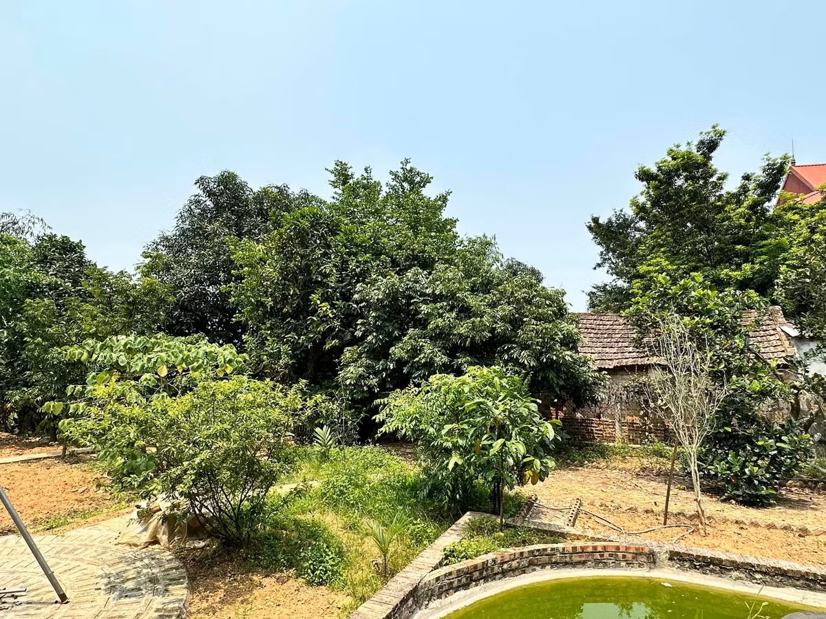 Cô Hạnh của Bến không chồng: Cuộc sống làm mẹ đơn thân giản dị và yên bình, nuôi 2 con trai khôn lớn - Ảnh 11.