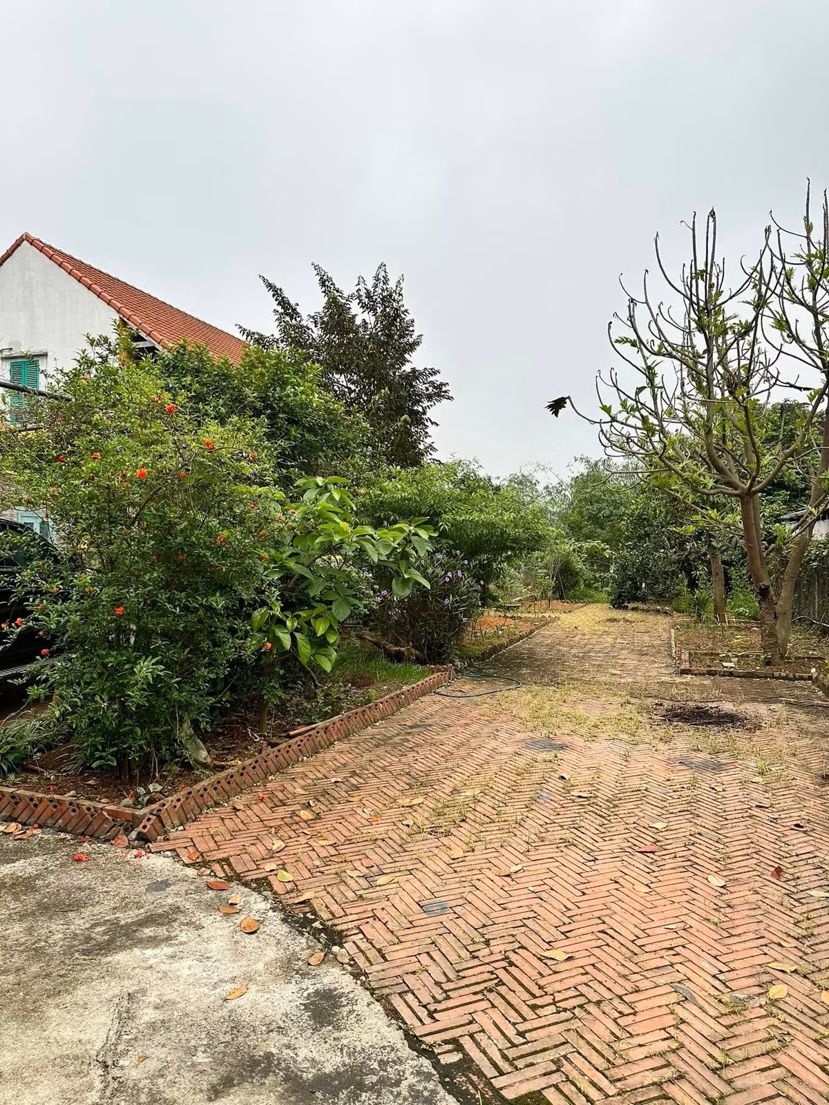 Cô Hạnh của Bến không chồng: Cuộc sống làm mẹ đơn thân giản dị và yên bình, nuôi 2 con trai khôn lớn - Ảnh 10.