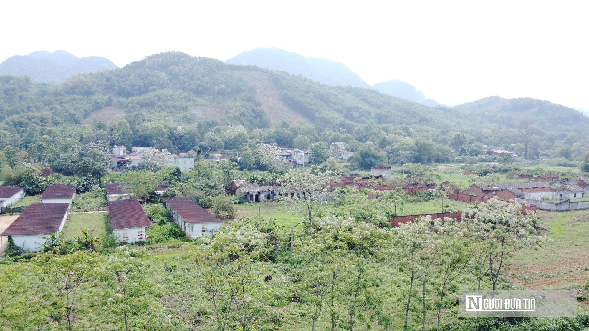 Thanh H&oacute;a: Dự &aacute;n ngh&igrave;n tỷ xi măng Thanh Sơn vẫn "sa lầy" sau 16 năm- Ảnh 2.