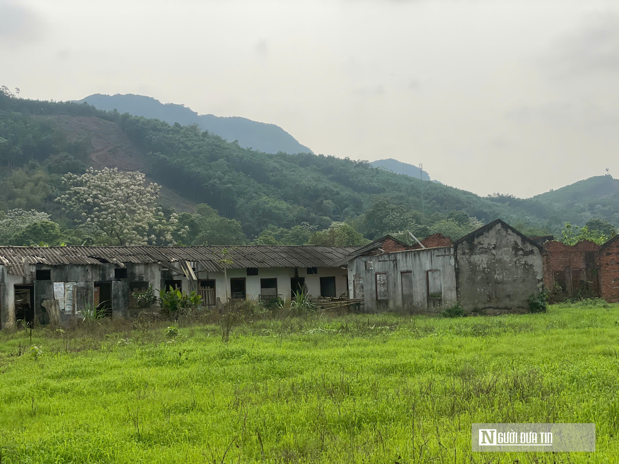 Thanh H&oacute;a: Dự &aacute;n ngh&igrave;n tỷ xi măng Thanh Sơn vẫn "sa lầy" sau 16 năm- Ảnh 4.