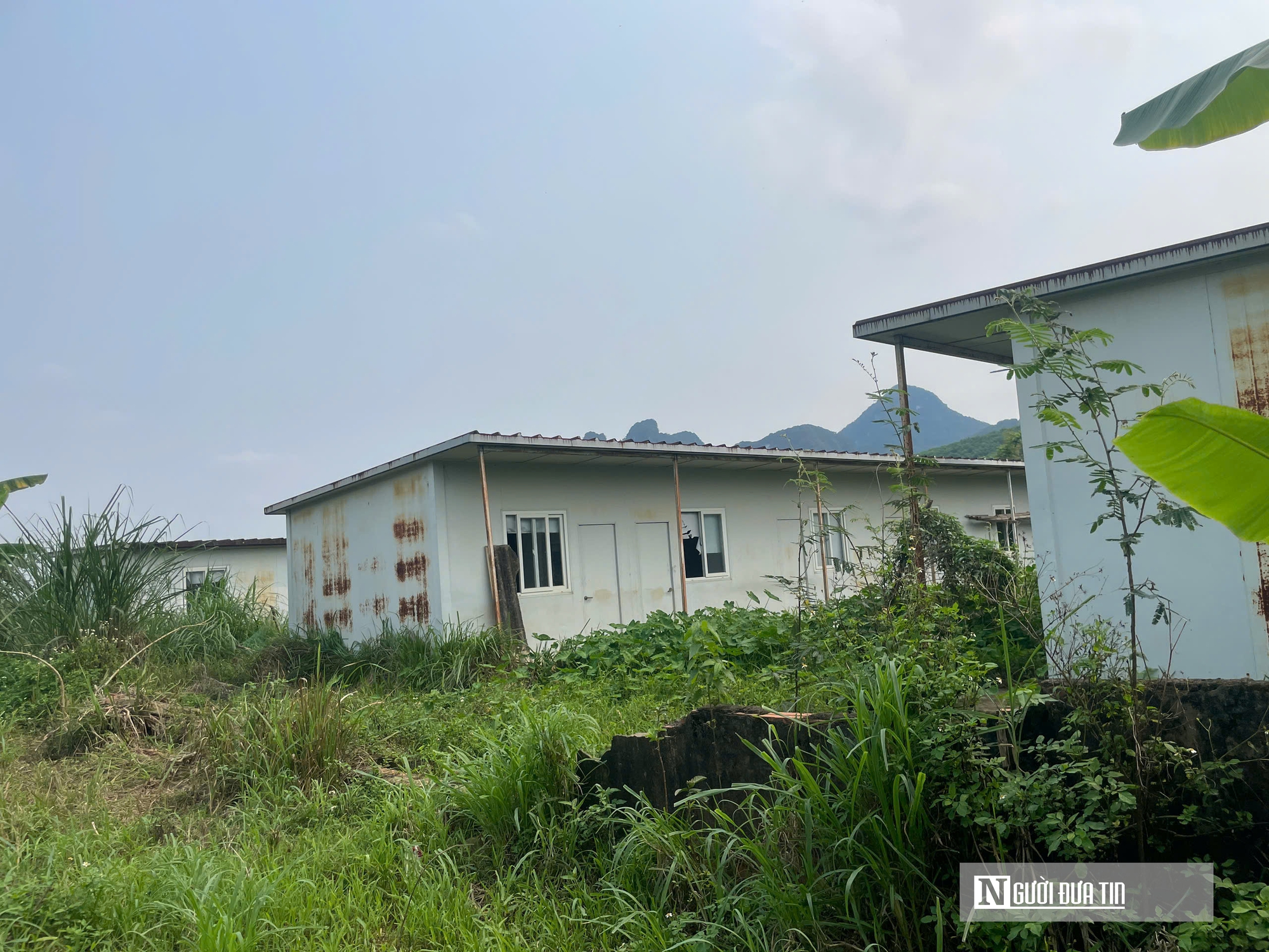 Thanh H&oacute;a: Dự &aacute;n ngh&igrave;n tỷ xi măng Thanh Sơn vẫn "sa lầy" sau 16 năm- Ảnh 6.