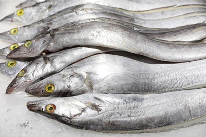 Loại cá giá rẻ, ít cholesterol, giàu đạm, phù hợp cho người già, trẻ nhỏ ăn vì ít xương - Ảnh 1.