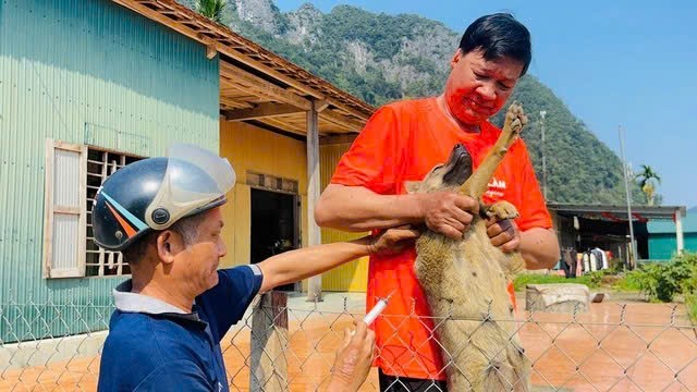 Đẩy mạnh ph&ograve;ng, chống bệnh dại c&oacute; nguy cơ tăng cao m&ugrave;a nắng n&oacute;ng- Ảnh 2.