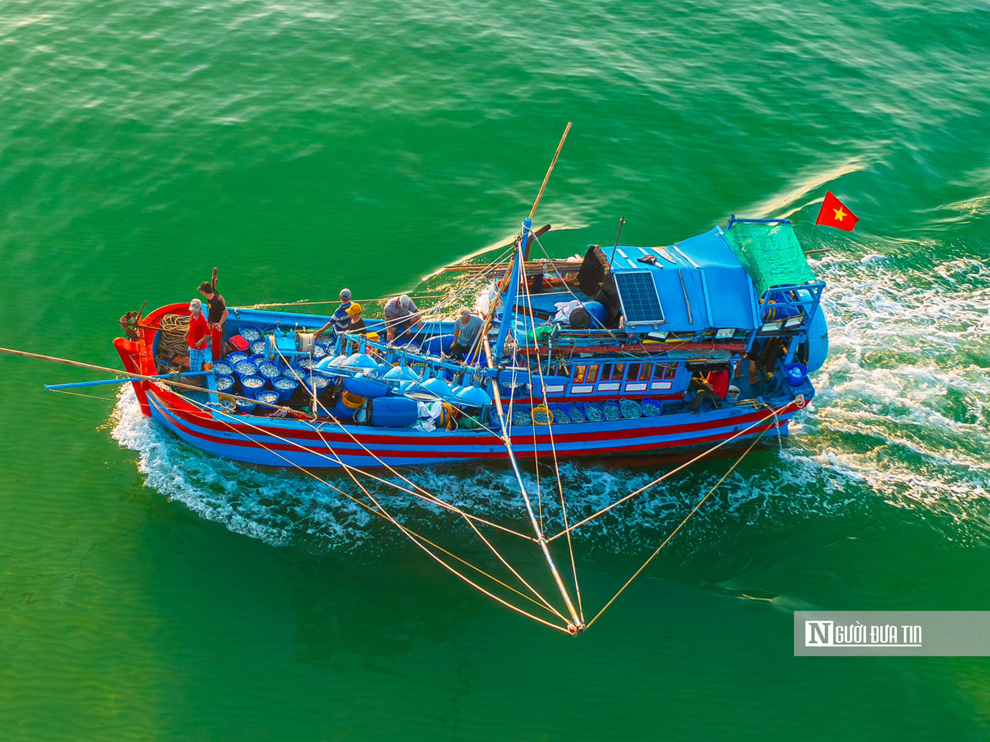 Hành trình cá cơm từ làng ra thế giới- Ảnh 1. Hành trình cá cơm từ làng ra thế giới- Ảnh 1.