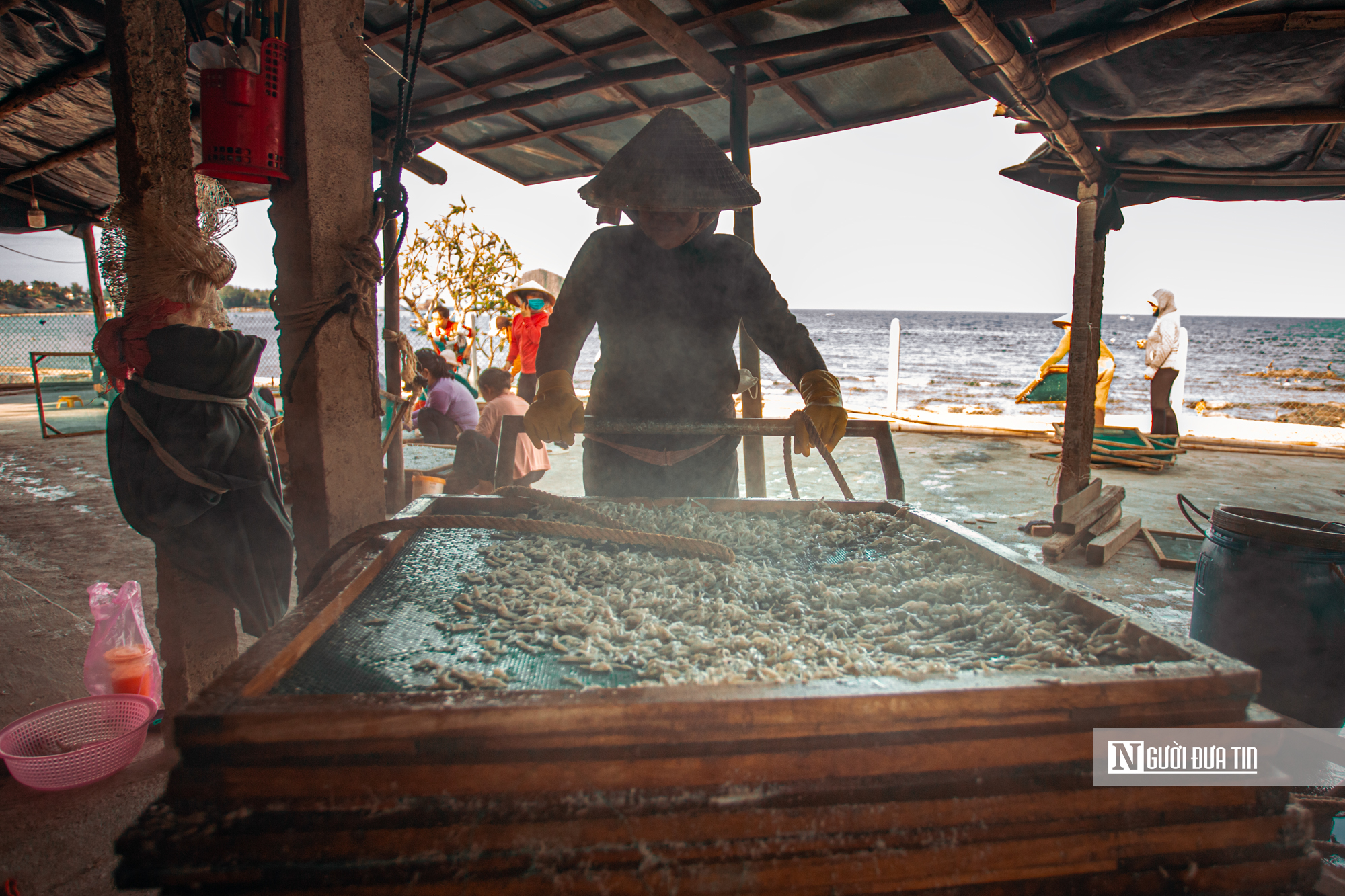 Hành trình cá cơm từ làng ra thế giới- Ảnh 16. Hành trình cá cơm từ làng ra thế giới- Ảnh 16.