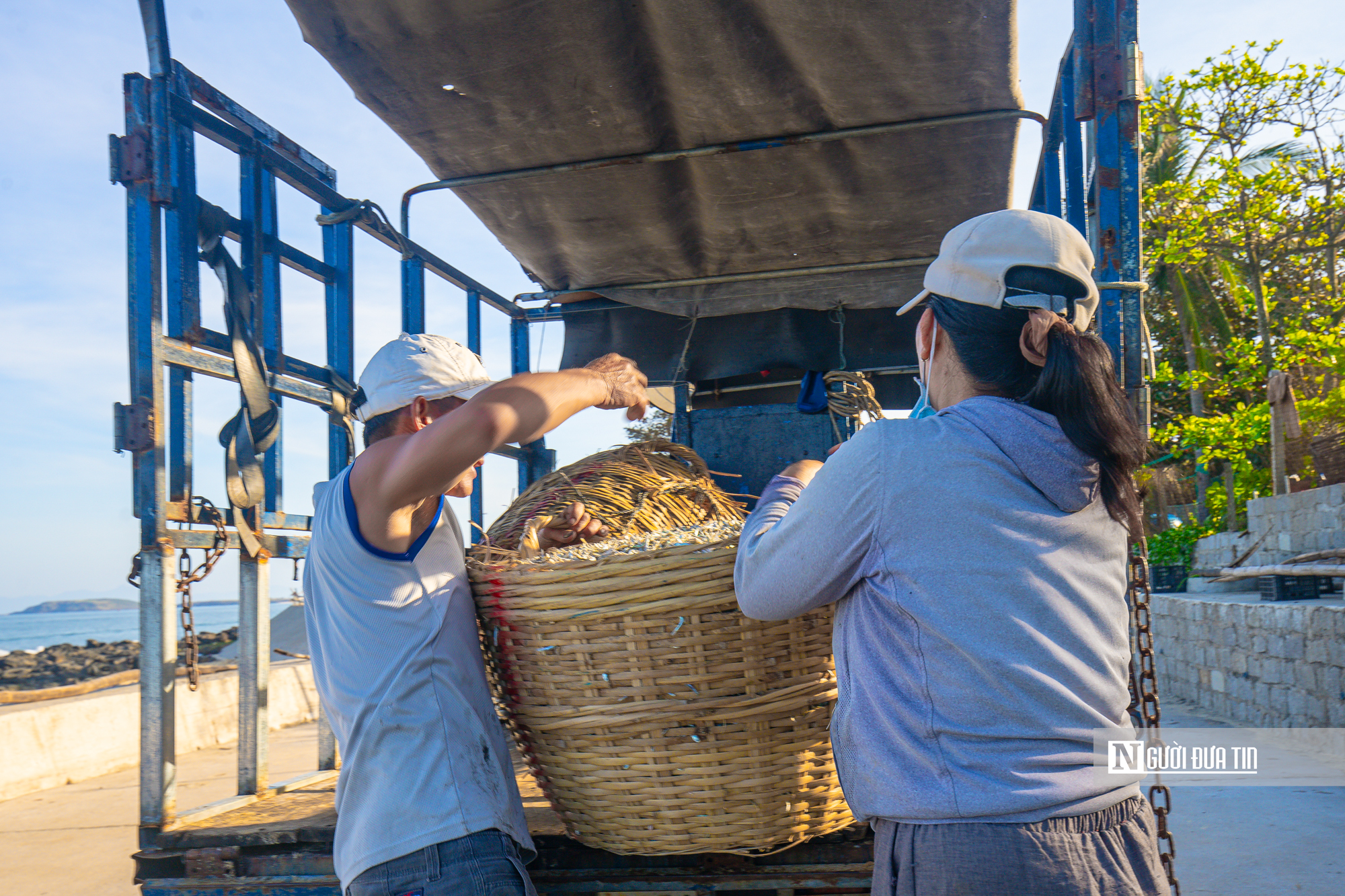 Hành trình cá cơm từ làng ra thế giới- Ảnh 19. Hành trình cá cơm từ làng ra thế giới- Ảnh 19.