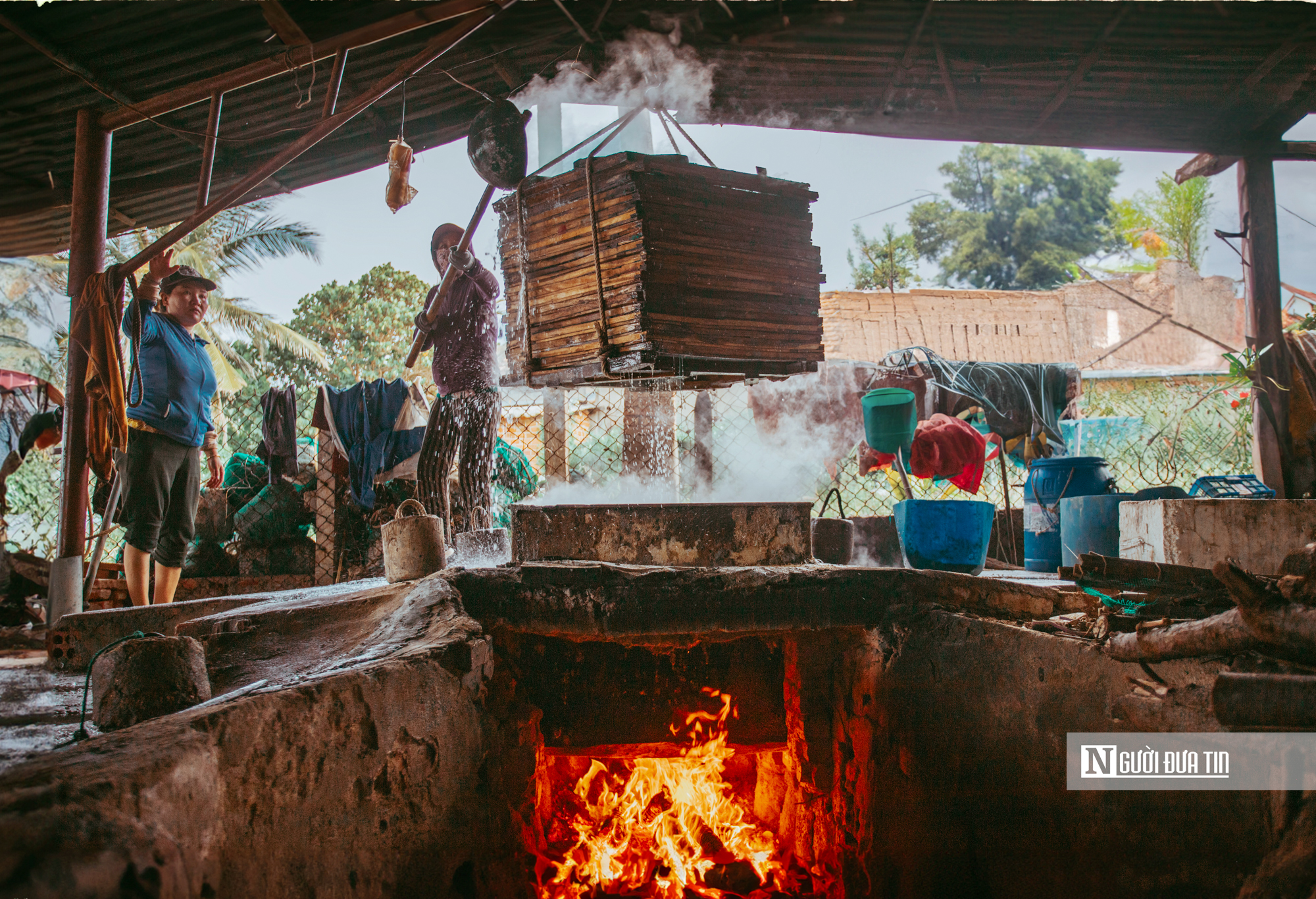 Hành trình cá cơm từ làng ra thế giới- Ảnh 6. Hành trình cá cơm từ làng ra thế giới- Ảnh 6.