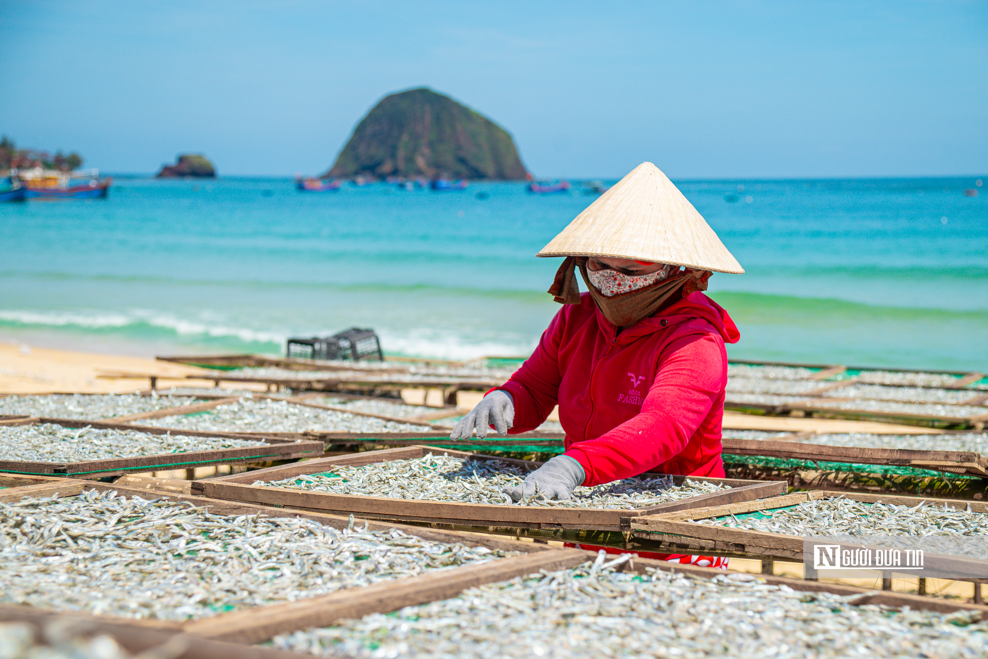 Hành trình cá cơm từ làng ra thế giới- Ảnh 13. Hành trình cá cơm từ làng ra thế giới- Ảnh 13.