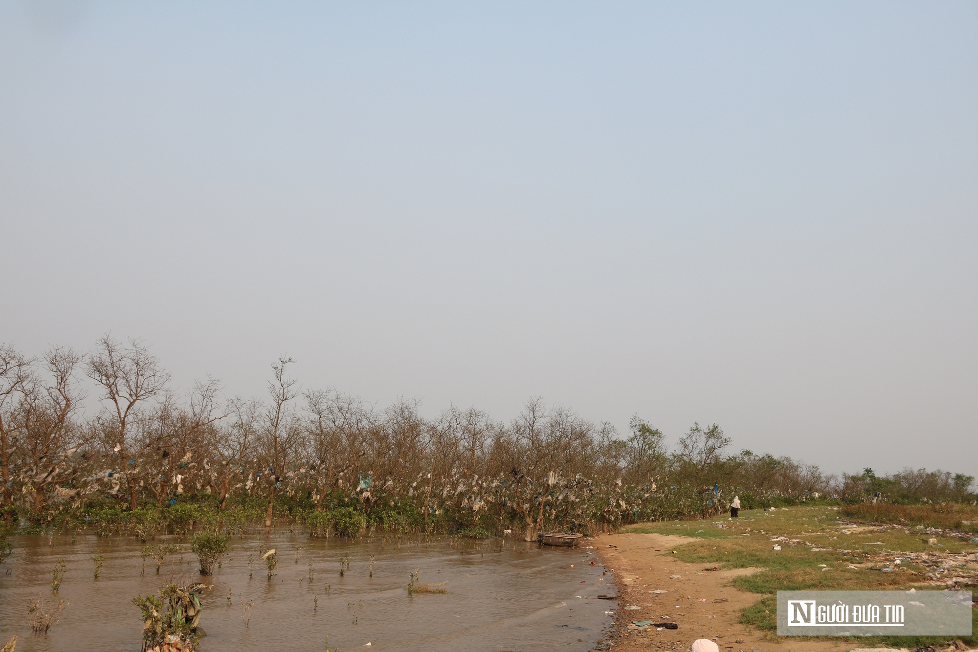 Cận cảnh cánh rừng bần nguyên sinh ngập ngụa trong lượng rác khổng lồ- Ảnh 13. Cận cảnh cánh rừng bần nguyên sinh ngập ngụa trong lượng rác khổng lồ- Ảnh 13.