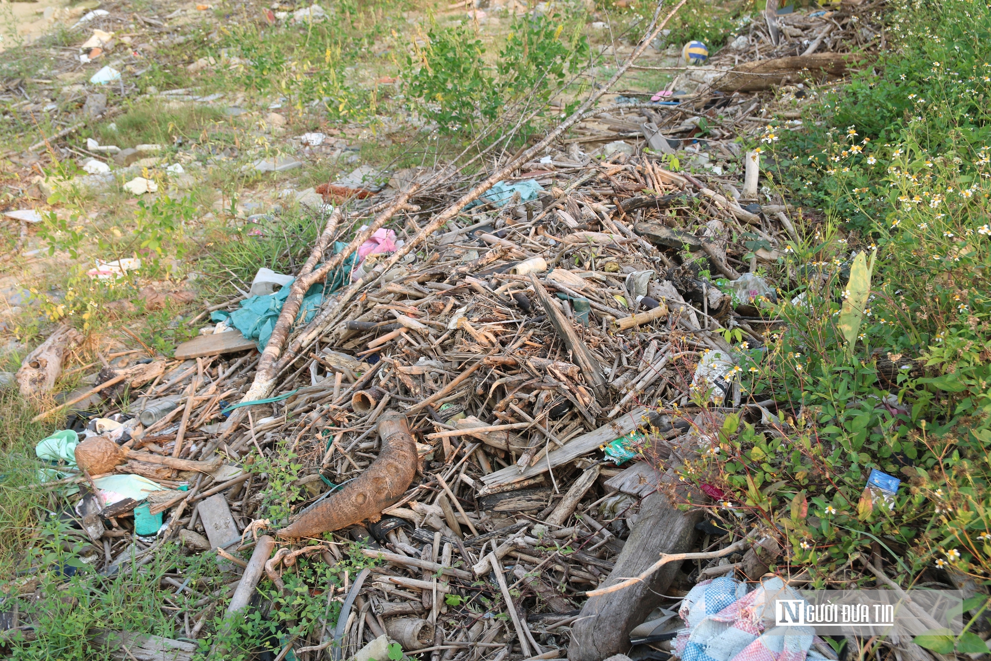 Cận cảnh cánh rừng bần nguyên sinh ngập ngụa trong lượng rác khổng lồ- Ảnh 10. Cận cảnh cánh rừng bần nguyên sinh ngập ngụa trong lượng rác khổng lồ- Ảnh 10.