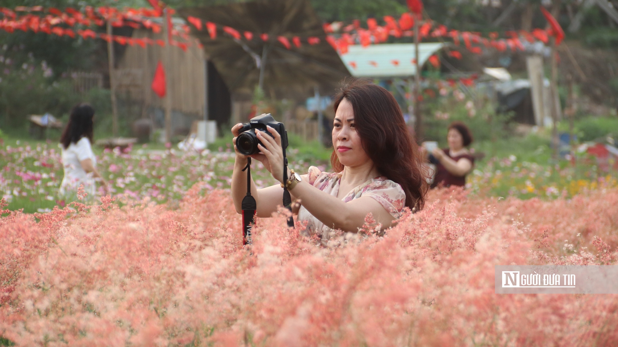 Vườn cỏ hồng dưới chân cầu Long Biên khiến du khách bất ngờ khi đến tận nơi - Ảnh 6.