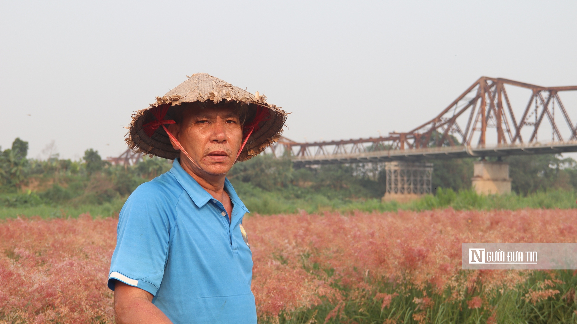 Vườn cỏ hồng dưới chân cầu Long Biên khiến du khách bất ngờ khi đến tận nơi - Ảnh 7.