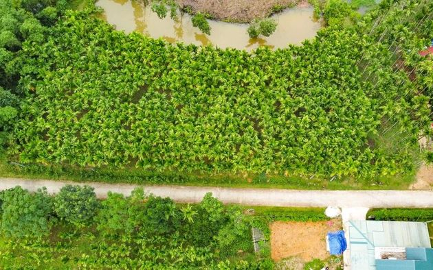 Khởi nghiệp từ đ&agrave;n vịt cổ bơi suối, 8X v&ugrave;ng cao tạo thu nhập h&agrave;ng trăm triệu đồng- Ảnh 8.