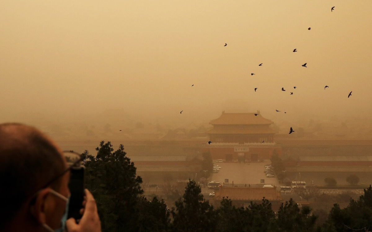 Tại sao Tử Cấm Th&agrave;nh cứ sau 5h chiều l&agrave; bất ngờ &ldquo;lạnh to&aacute;t&rdquo;, tiếng k&ecirc;u kh&oacute;c thảm thiết c&oacute; đ&uacute;ng l&agrave; &ldquo;&Acirc;m binh mượn đường&rdquo;? - Ảnh 5.