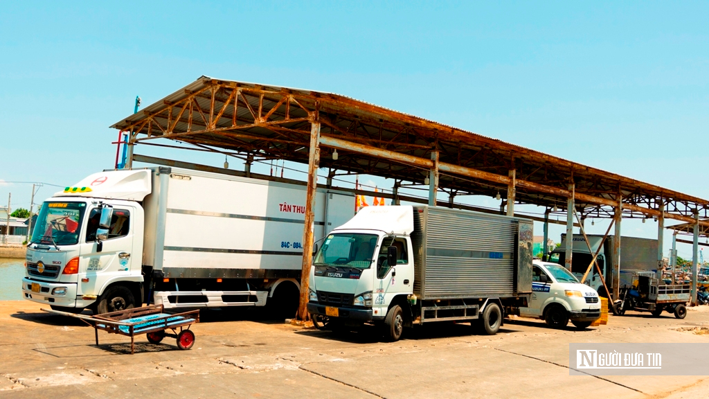 Cảng cá Đại An vào vụ, nhịp biển rộn ràng ngày trở gió- Ảnh 6.