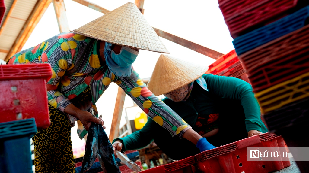 Cảng cá Đại An vào vụ, nhịp biển rộn ràng ngày trở gió- Ảnh 7.