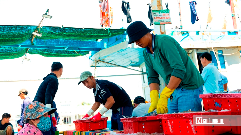 Cảng cá Đại An vào vụ, nhịp biển rộn ràng ngày trở gió- Ảnh 11.