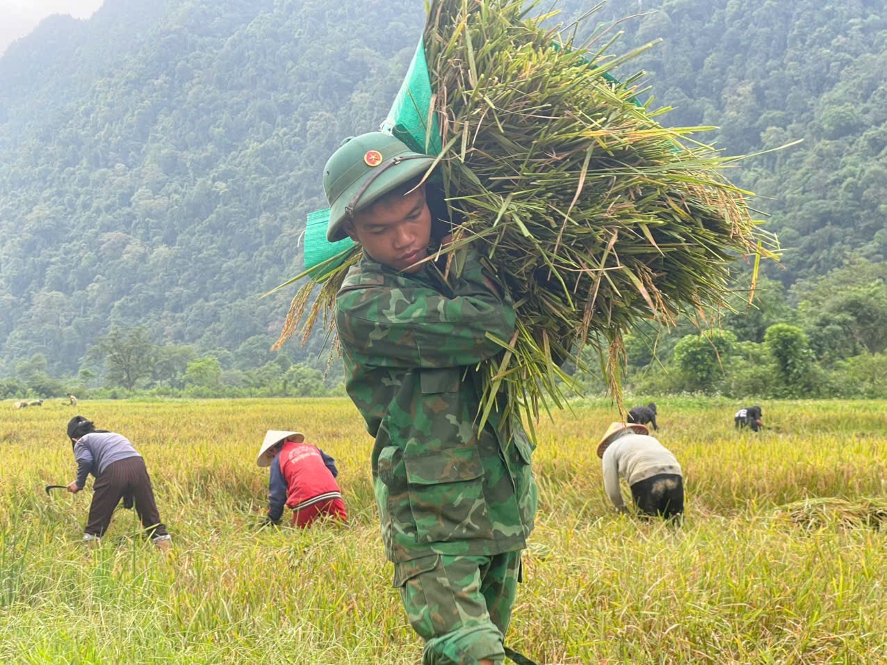 Ảnh: Thấm đẫm tình quân dân trên cánh đồng biên giới- Ảnh 1.