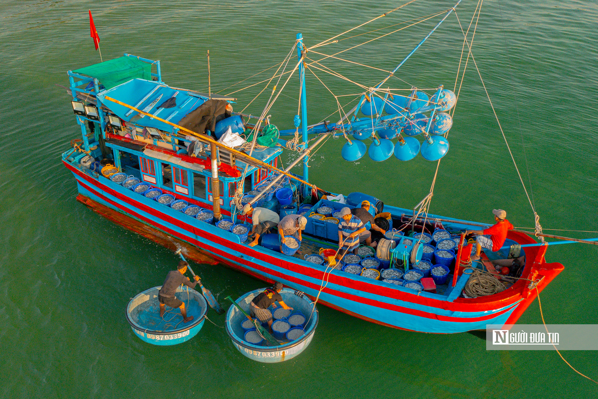 Ngư dân Đắk Lắk thu hàng triệu đồng sau đêm đánh cá cơm, phấn khởi vươn khơi bám biển- Ảnh 2. Ngư dân Đắk Lắk thu hàng triệu đồng sau đêm đánh cá cơm, phấn khởi vươn khơi bám biển- Ảnh 2.