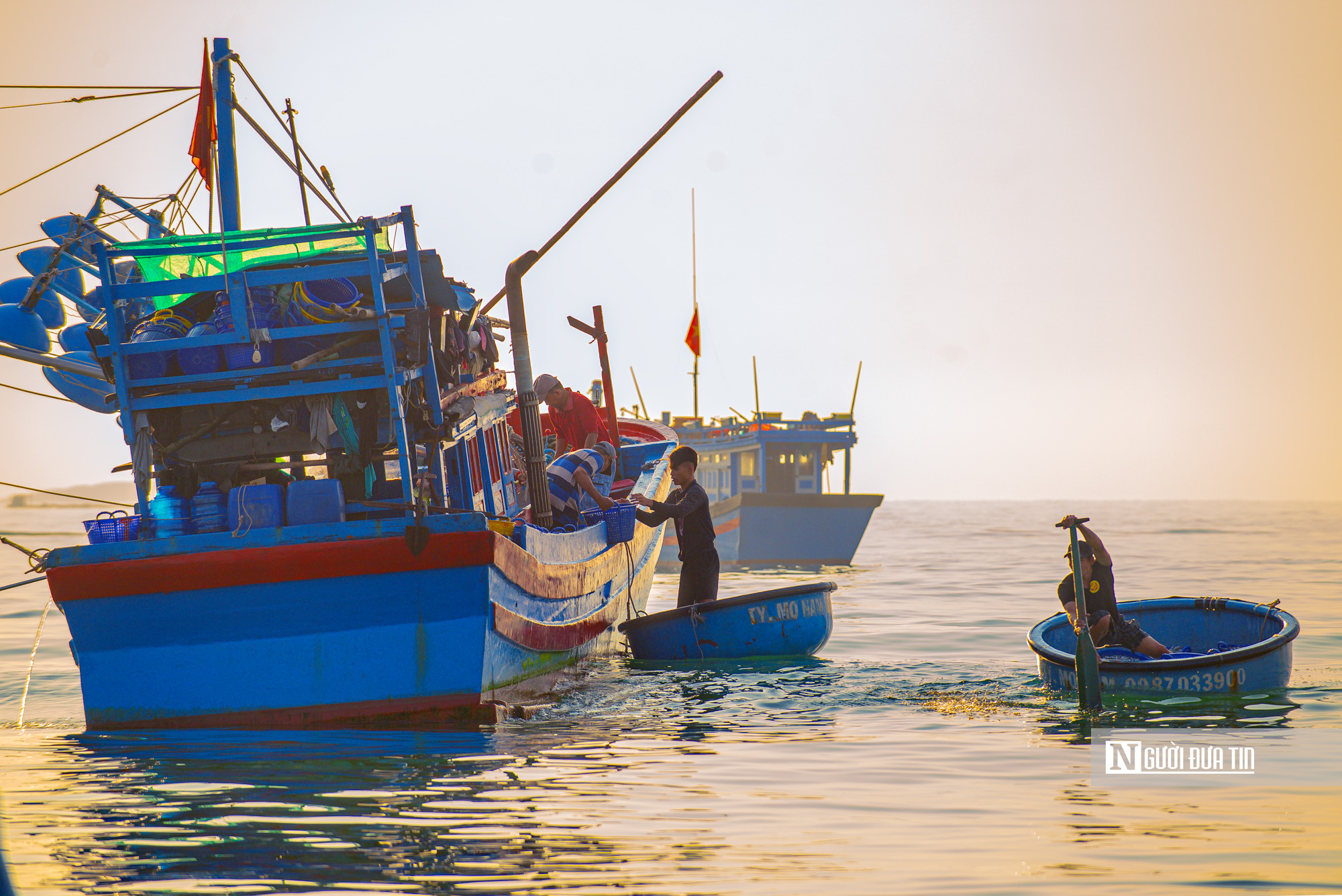 Ngư dân Đắk Lắk thu hàng triệu đồng sau đêm đánh cá cơm, phấn khởi vươn khơi bám biển- Ảnh 4. Ngư dân Đắk Lắk thu hàng triệu đồng sau đêm đánh cá cơm, phấn khởi vươn khơi bám biển- Ảnh 4.