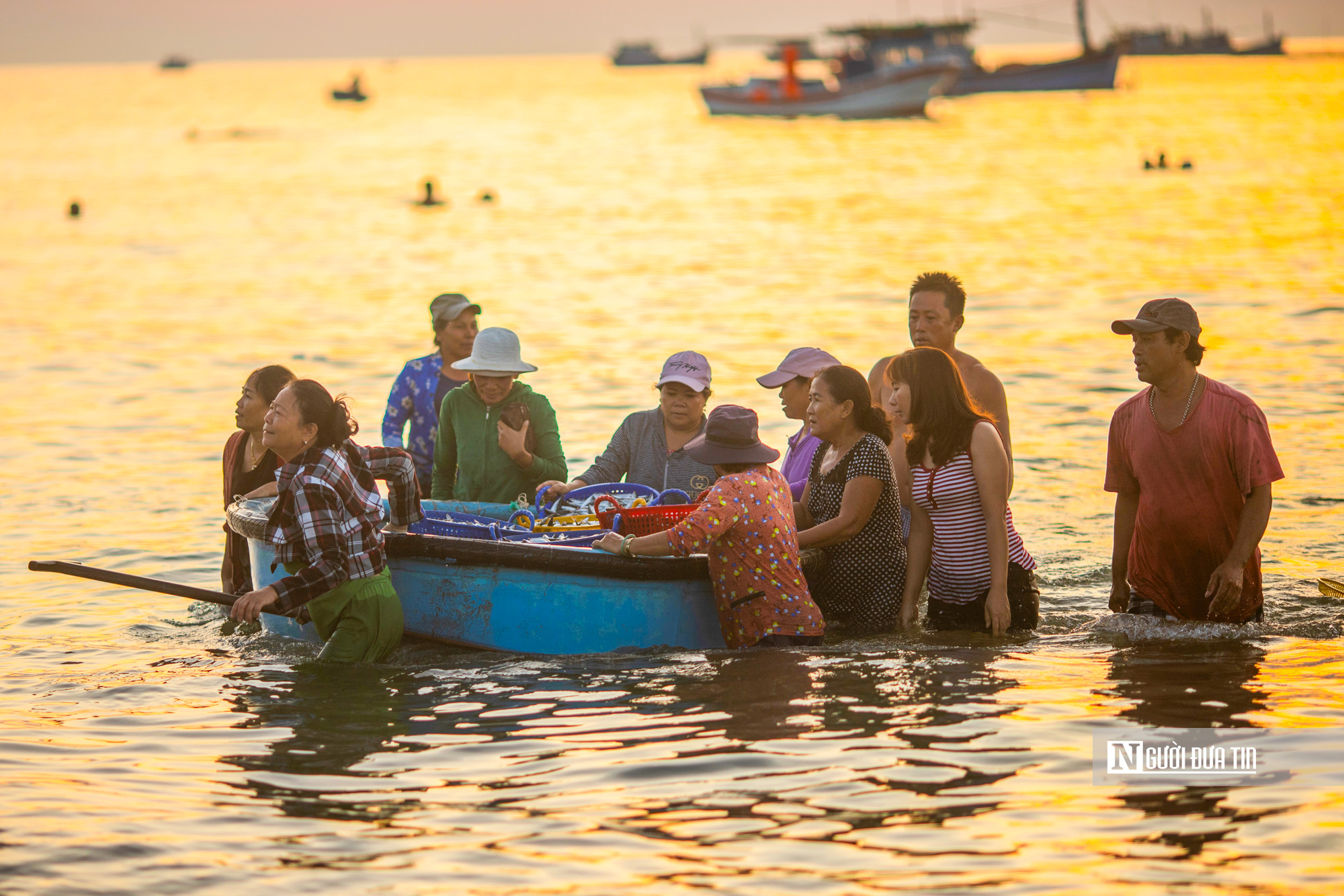 Ngư dân Đắk Lắk thu hàng triệu đồng sau đêm đánh cá cơm, phấn khởi vươn khơi bám biển- Ảnh 11. Ngư dân Đắk Lắk thu hàng triệu đồng sau đêm đánh cá cơm, phấn khởi vươn khơi bám biển- Ảnh 11.