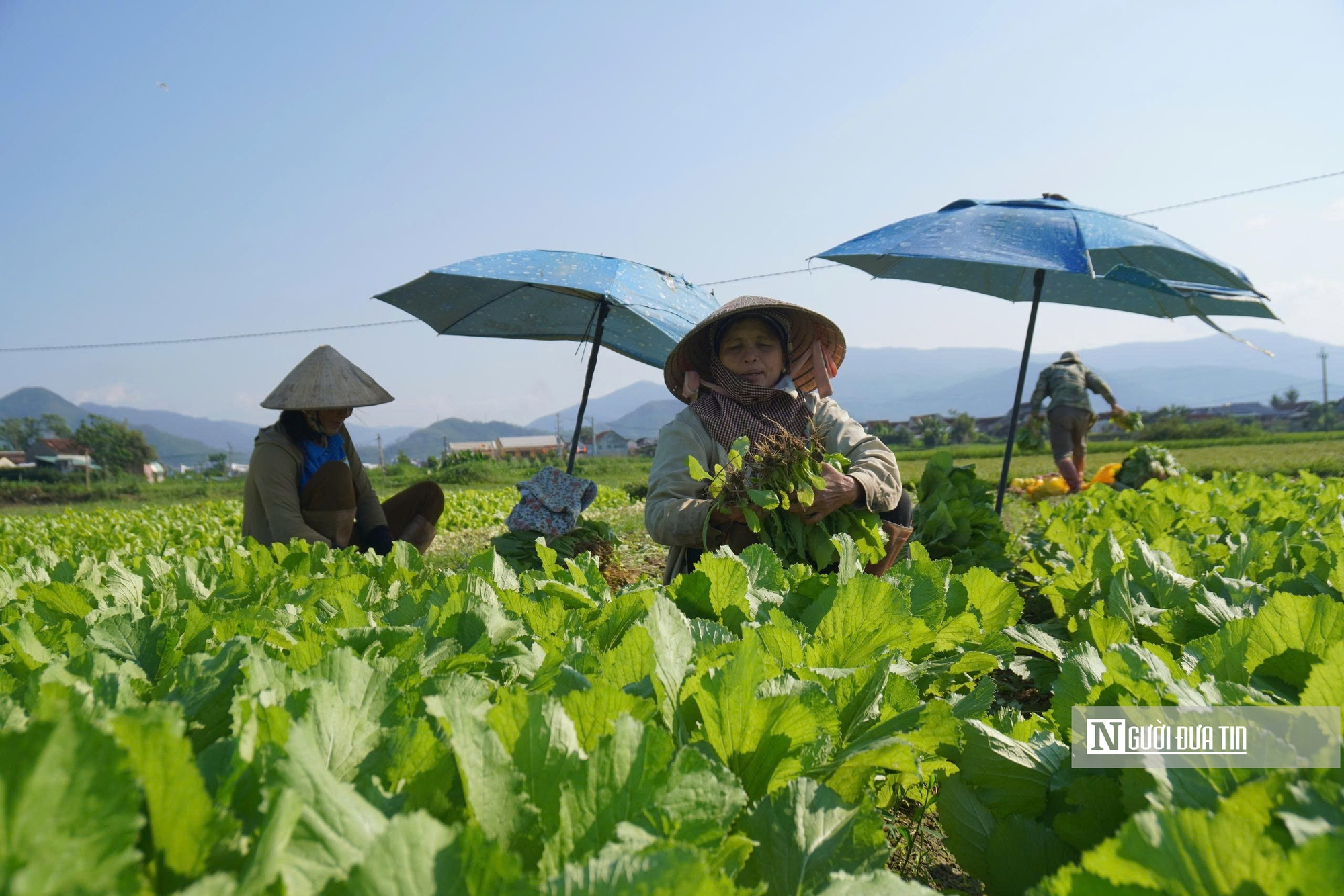 Gia Lai bứt phá từ bệ phóng Năm Du lịch Quốc gia: - Ảnh 6.