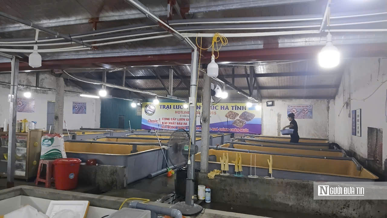 Khởi nghiệp với m&ocirc; h&igrave;nh nu&ocirc;i lươn kh&ocirc;ng b&ugrave;n, người phụ nữ ngồi chờ h&aacute;i &ldquo;quả ngọt&rdquo;- Ảnh 1.