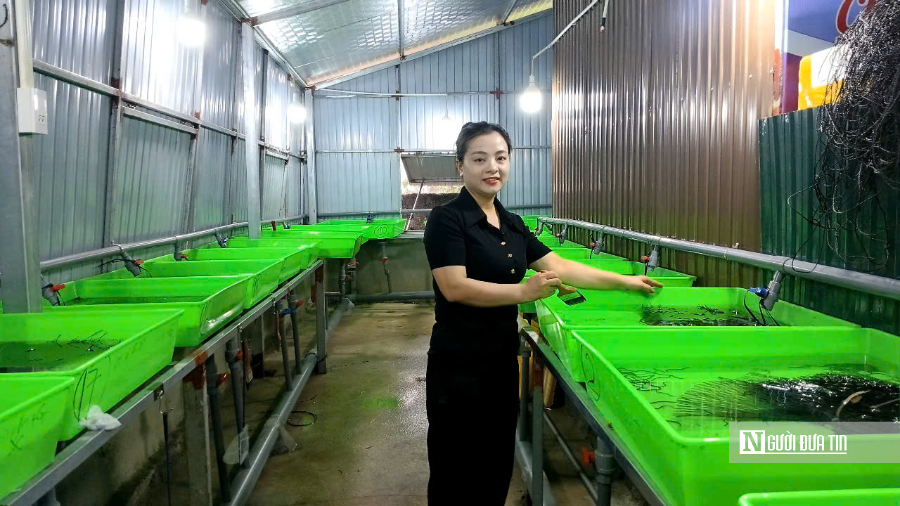 Khởi nghiệp với m&ocirc; h&igrave;nh nu&ocirc;i lươn kh&ocirc;ng b&ugrave;n, người phụ nữ ngồi chờ h&aacute;i &ldquo;quả ngọt&rdquo;- Ảnh 4.