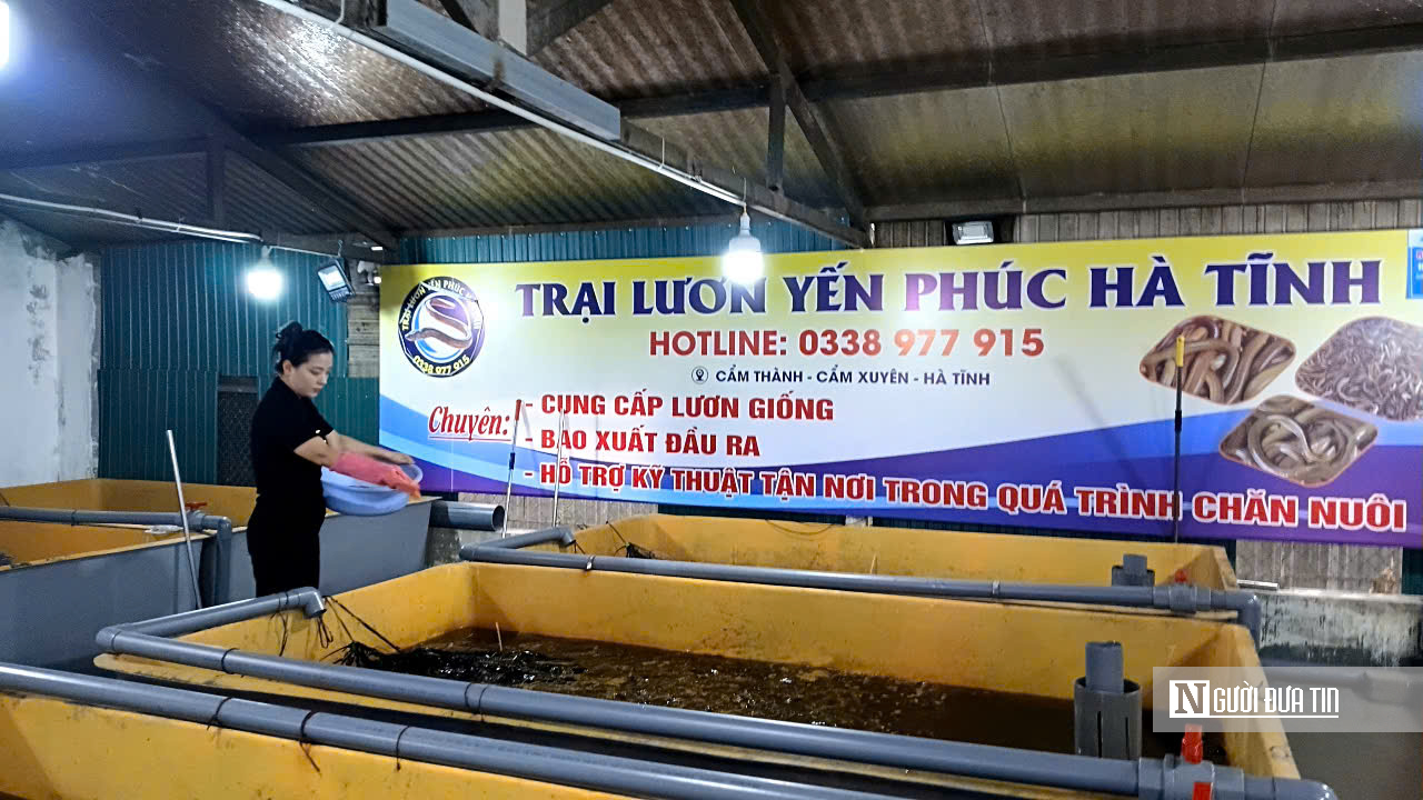 Khởi nghiệp với m&ocirc; h&igrave;nh nu&ocirc;i lươn kh&ocirc;ng b&ugrave;n, người phụ nữ ngồi chờ h&aacute;i &ldquo;quả ngọt&rdquo;- Ảnh 6.